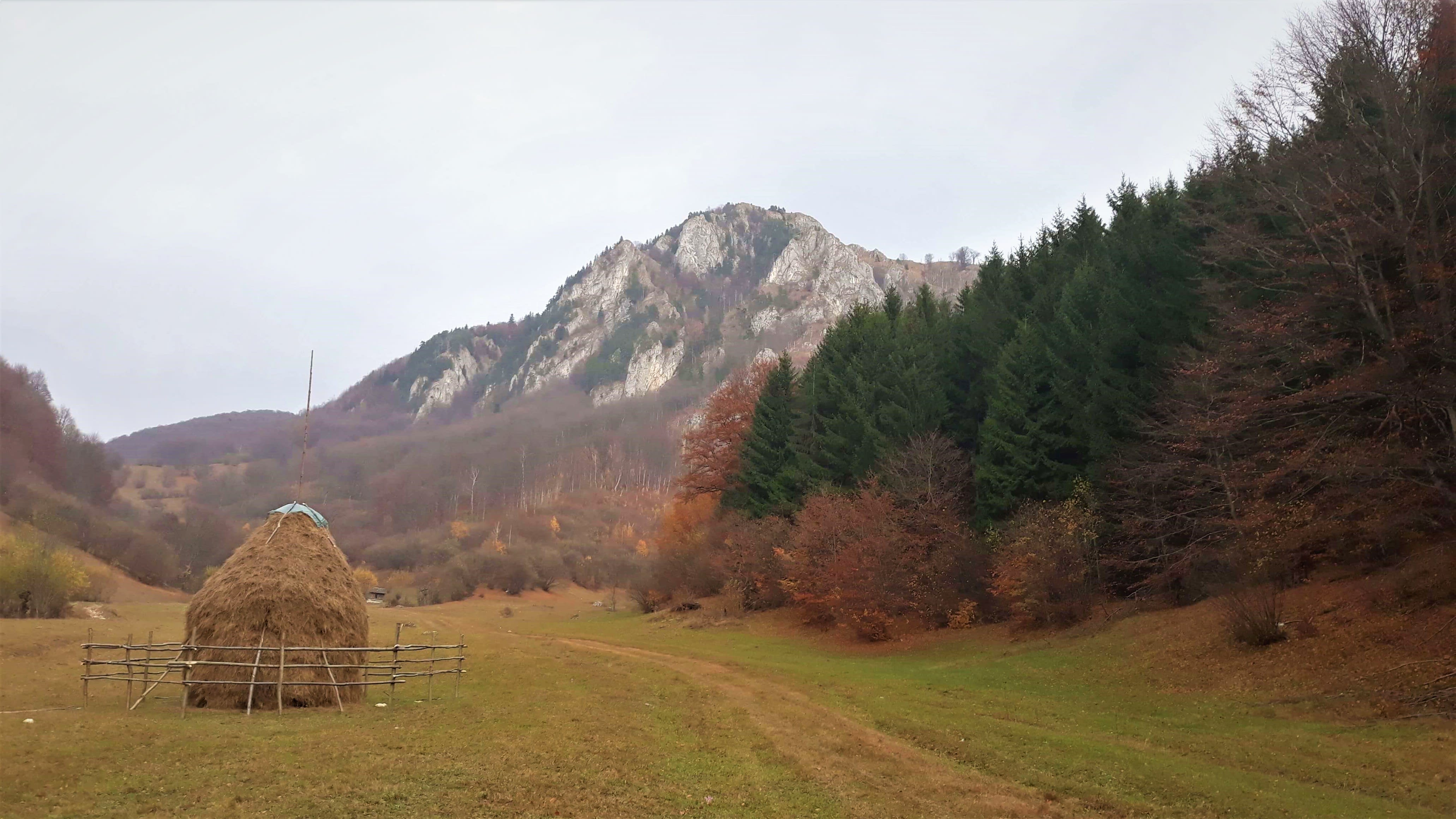 Piatra Dragoslavelor